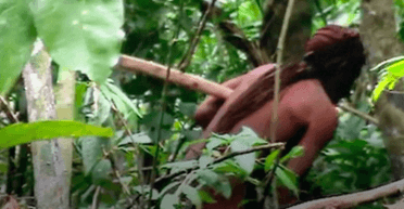 Останній зі свого племені: "найсамотніша людина у світі" провела 26 років у лісі