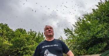 Как в хорроре Хичкока: британцы напуганы нашествием чаек, заполонивших свалку (фото)