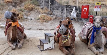 Море надо заслужить. Как посмотреть на Турцию с другой стороны