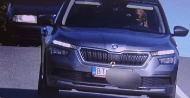 "Справжній гонщик": камера зафіксувала собаку за кермом автомобіля, що рухається (фото)