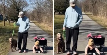 Батько випадково навчив доньку команди "сидіти" після прогулянки із собакою (відео)