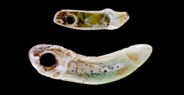 Бесценные находки: в Саксонии-Анхальт археологи сделали неординарное открытие