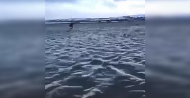 Ушел под воду: в РФ на Камчатке затопило стратегический военный объект (фото, видео)