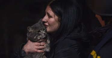 Ракетный удар РФ по Краматорску: из-под завалов разрушенного дома спасли кота (фото, видео)