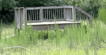 "Добре побудовано": чоловіка заарештували за крадіжку ґанку у своїх сусідів (відео)