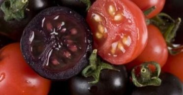 Виробництво і продаж ГМО в Україні: які нові правила набувають чинності