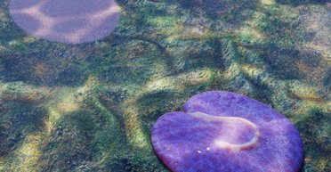 Під водою 555 млн років тому мешкав "робот-пилосос": це була перша тварина на Землі (фото)