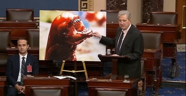 Соратник Трампа выдал персонажа из фильма "Чужой" за "радиоактивные иностранные креветки" (видео)