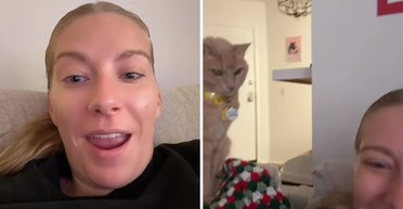 Владелица ограничила своего кота в еде: она не была готова к его реакции на это (фото)