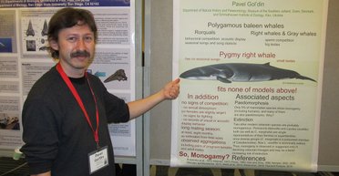 В Крыму сегодня мастодонты мельчают, а крысы растут, — Павел Гольдин