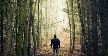 Чоловік натрапив на неймовірні знахідки посеред лісу: що саме він відкопав (фото)