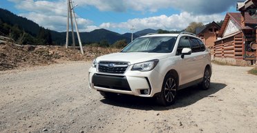Лесник-путешественник. Новый Subaru Forester
