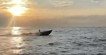 СБУ застосувала експериментальний морський дрон для атаки на Кримський міст, — CNN (відео)