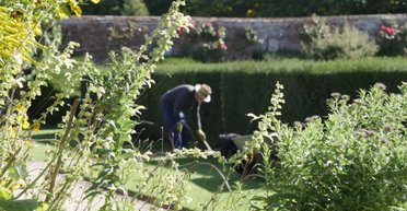 Нога провалилася під землю: чоловік знайшов забуту підземну будову (фото)