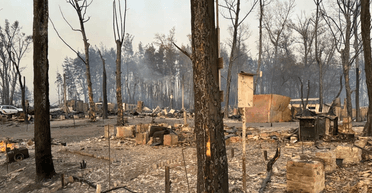 У Харківській області повністю згоріло село через лісову пожежу (відео)