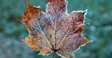 "Желательно бегом": Диденко предупредила о непогоде и призвала водителей менять резину (карта)