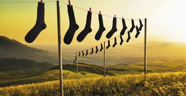 Шкарпетка одинока. Чому я не людина вищого порядку