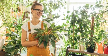 Зелений лікар: 7 кімнатних рослин, які покращують здоров'я