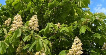 Задощить та похолодає: прогноз погоди в Україні на вихідні (карта)