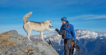 Для любителей гор и активного отдыха: эти собаки сделают отпуск незабываемым (фото)