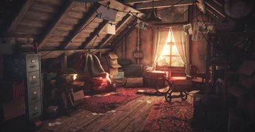 Пара купила будинок, не оглянувши горище: там була купа цікавих знахідок (відео)