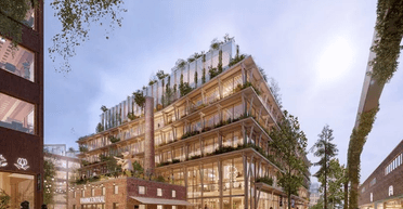 Найбільше у світі місто, побудоване повністю з дерева, ризикує бути зруйнованим (фото)