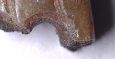 Странные артефакты оказались важной вехой в истории человечества: что нашли ученые (фото)