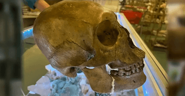 Моторошна знахідка: жінка натрапила на людський череп на полицях магазину (фото)