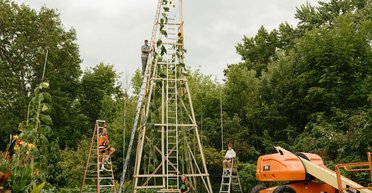 Українець виростив в США найбільший соняшник у світі (фото)