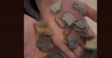 Дніпряни ходили за грибами, а знайшли залишки козацького зимівника (фото)