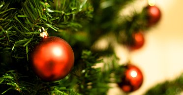 Жінка розсмішила мережу світлиною "дивної" ялинки, яку купила на ярмарку (фото)