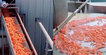 Люди дивуються, дізнавшись правду про те, звідки насправді береться міні-морква (відео)