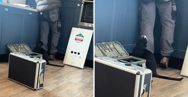 Женщина вызвала сантехника на дом: она не была готова к реакции кота на это (фото)