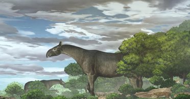 Слон здасться малюком: який вимерлий ссавець є найбільшим на Землі (фото)