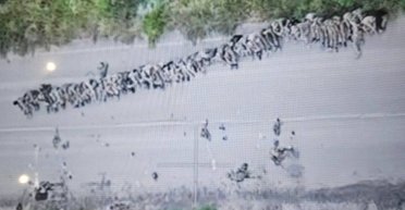 Бои в Курской области РФ: лейтенант ВСУ назвал количество пленных россиян за два дня