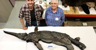 Виявлений стародавній "меч-дракон" може допомогти вирішити еволюційну загадку (фото)