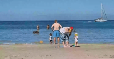 Сімейний кадр: загадкове фото з пляжу налякало людей