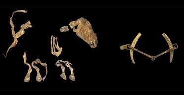 У гробниці в Монголії виявили найстаріше у світі революційне сідло: йому 1600 років (фото)