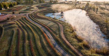 Страуси, лавандові поля та українська Ісландія: 10 локацій біля Києва для відпочинку у вихідні