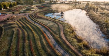 Страуси, лавандові поля та українська Ісландія: 10 локацій біля Києва для відпочинку у вихідні