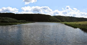 Границы прекрасного. Место, где петух на три державы поет
