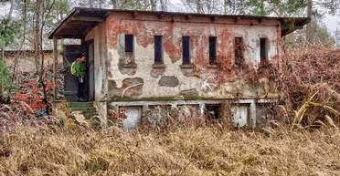 Жуткое наследие прошлого: девушка открыла тайны "леса смерти" (фото)