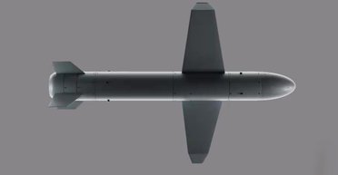 Первое применение ракеты-дрона "Паляниця" было по военной цели в Крыму, — СМИ