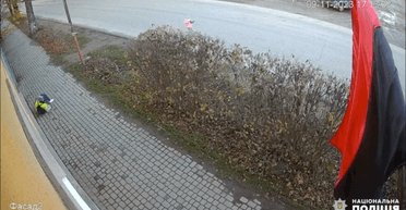 Мати не встежила за донькою: на Закарпатті вантажівка переїхала півторарічну дитину (фото)