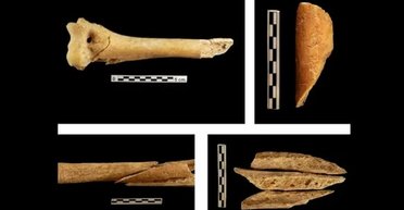 Трупам зняли плоть і зламали кістки після смерті: виявлено незвичайне поховання з неоліту (фото)