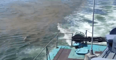 Сили оборони Півдня показали відео бойового злагодження моряків