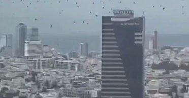 Провісники справжньої біди: тисячі ворон несподівано обліпили небосхил Тель-Авіва (відео)
