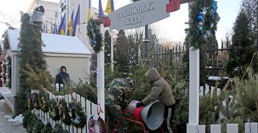 Почти в 10 раз выше цены: где самые дорогие и самые дешевые елки в Украине