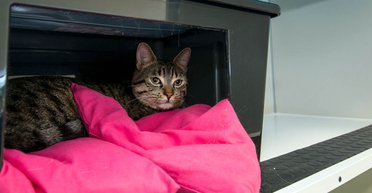 Пять мартовских обострений, которые могут быть опасны для жизни