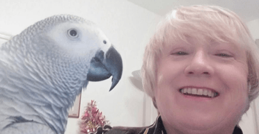 Ни вейпов, ни фильтров: попугай отговаривает курильщиков от дурной привычки с помощью мата (фото)